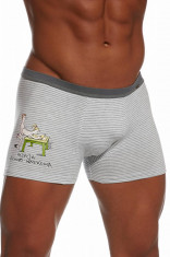 Boxers model 60800 Cornette foto