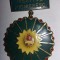 Insigna rara Medalia Meritul Pionieresc invatamant comunism Mare,Tp.GRATUIT