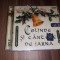 2 CD COLINDE SI CANTECE DE IARNA ORIGINAL INTERCONT MUSIC