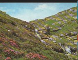CPI B 10764 CARTE POSTALA - MUNTII BUCEGI. VALEA JEPILOR