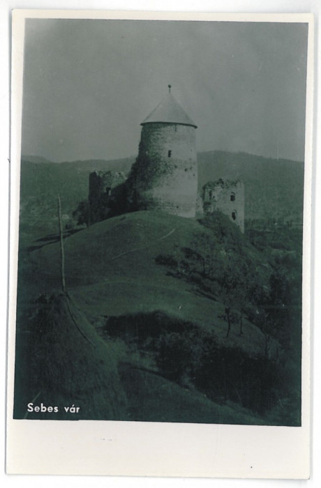 4271 - BOLOGA, Cluj, Castle - old postcard, real PHOTO - unused