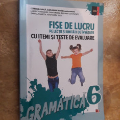 Fise De Lucru Pe Lectii Si Unitati DE INVATARE CU ITEMI SI TESTE DE EVALUARE