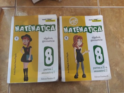 MATEMATICA ALGEBRA GEOMETRIE CLASA A VIII A - PARTEA 1 + 2 NEGRILA . foto