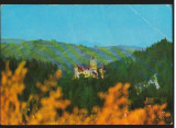 CPI B 10769 CARTE POSTALA - CASTELUL BRAN. PARTEA DE NORD