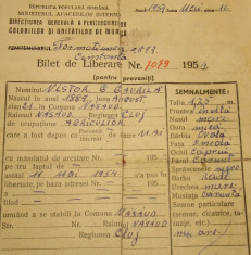 Colonia de munca Poarta Alba formatiunea 0893-Bilet de liberare 1954. foto