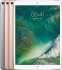 iPad Pro 10.5