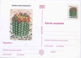 Romania 1997, CP, Flora, 19
