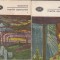 DICKENS - MARILE SPERANTE ( 2 VOLUME ) ( BPT 115-116 )