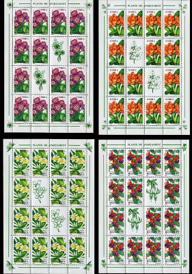 ✅RO 2000 &amp;quot;Plante de apartament&amp;quot; , LP 1510 b ,serie de 4 minicoli /14 serii , MNH foto