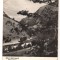 CPIB 22110 - CARTE POSTALA - BAILE HERCULANE. VALEA CERNEI, RPR
