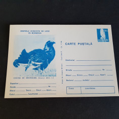 Carte Postala Necirculata - Animale Ocrotite de Lege - Cocos de Mesteacan foto