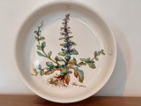 Castron din portelan vintage Vileroy Boch colectia Botanica