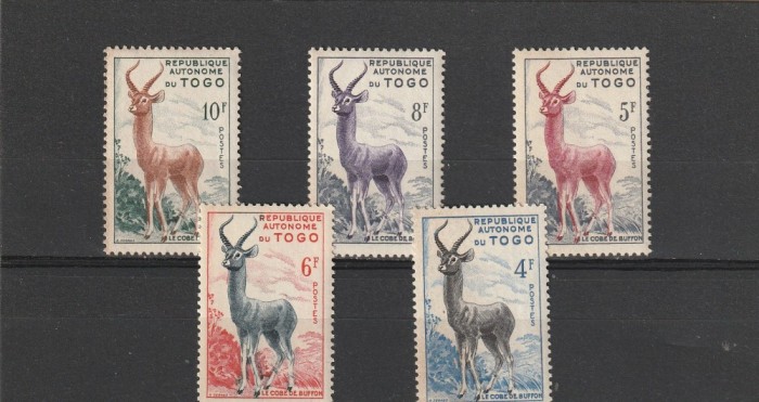 Fauna ,cervide,Togo.