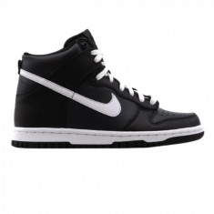 Nike Dunk Hi Bg