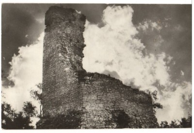 CPI B 11341 CARTE POSTALA - RUINELE CETATII BALVATORIU foto