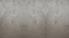 Vopsea decorativa Pearl Stucco Classic Effect-1119A foto