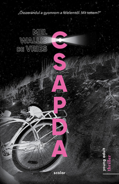 Csapda - Mel Wallis de Vries