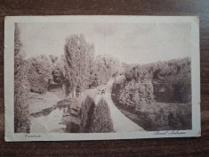 Craiova - Parcul Bibescu. foto