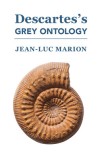 Descartes&#039;s Grey Ontology