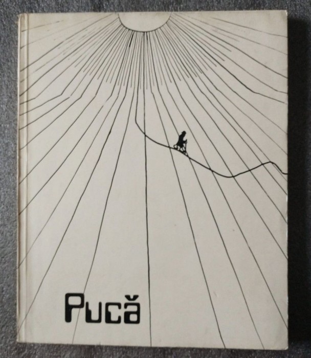 Fănuș Neagu (prefață) - Florin Pucă (Meridiane, 1986)