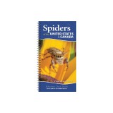 Spiders of the United States &amp; Canada: Easily Identify 153 Common Species
