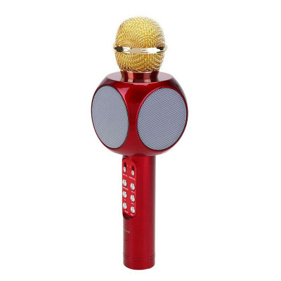 Microfon karaoke Wsier WS-1816, baterie incorporata foto