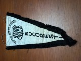 fanion RUGBY CLUB SPORTUL STUDENTESC BUCURESTI