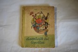 Gianni Rodari - Aventurile lui Cepelica (editita a II-a, 1962)