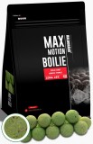 Haldorado - Boilies Max Motion Boilie Long Life 20mm, 800g - Green Force