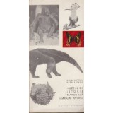 Muzeul de Istorie Naturala Grigore Antipa