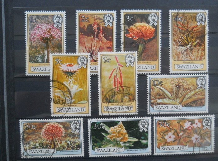 CN SWAZILAND FLORA