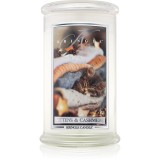 Kringle Candle Kittens &amp; Cashmere lum&acirc;nare parfumată 624 g