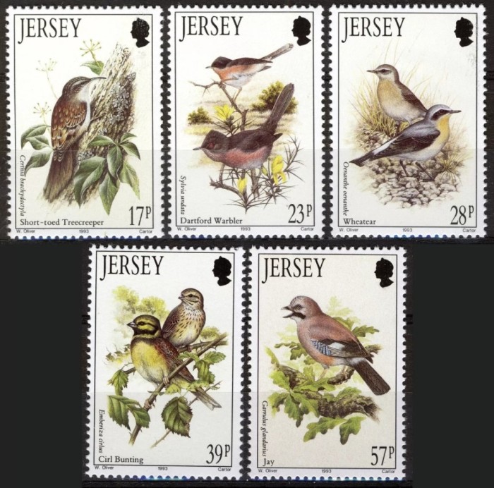 Jersey 1993 - Păsări migratoare, fauna, serie neuzata