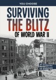 Surviving the Blitz of World War II: A History-Seeking Adventure