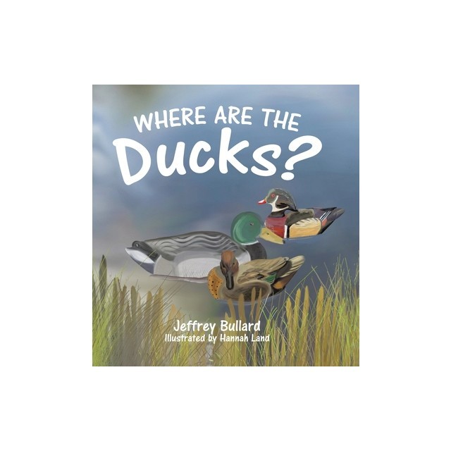 Where Are the Ducks?