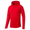 BLUZA PUMA EVOSTRIPE MOVE HOODY