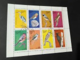 Oman &ndash; Serie bloc 8 timbre Păsări 1968, ștampilată - A40