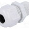 Presetupa poliamida, NPT3/8&quot;, IP68, HELUTOP HT-NPT, HELUKABEL - HT 3/8&rdquo; RAL7035 BSK NPT