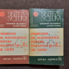 Probleme De Matematica Pentru Treapta A I si a II-A De Liceu-Gheorghe CalugaritA