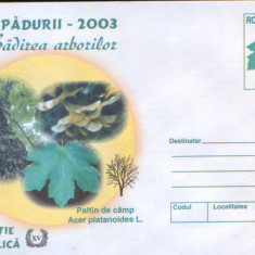 Intreg pos plic nec 2003 - Luna Padurii - Sadirea arborilor - Paltin de camp