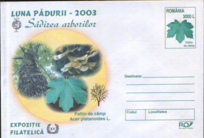 Intreg pos plic nec 2003 - Luna Padurii - Sadirea arborilor - Paltin de camp foto