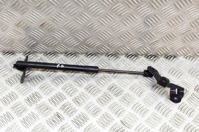 Amortizor capota dreapta față TESLA MODEL 3 2019 OEM: 1089586-00-C,1091472-00-B 21481706