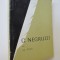C. Negruzzi - Al. Piru