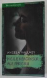 MICILE NEAJUNSURI ALE FERICIRII de ANGELA VALLVEY , 2007