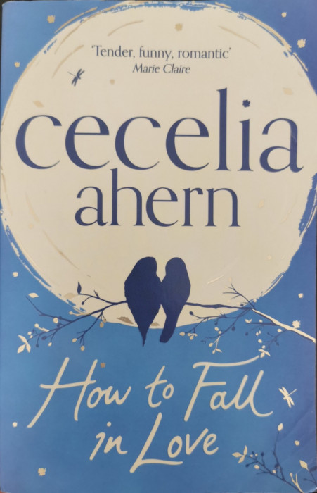 How to Fall in Love - Cecelia Ahern