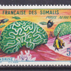 DB1 Fauna Marina Corali si Bureti Somalia Franceza 1963 3 v. MNH