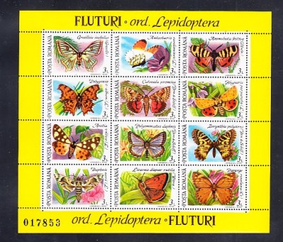 A11 TX1 8 - 1991 - Fluturi - blocuri foto