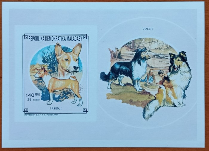 REP.MALGASA-&#039;&#039;FAUNA-Rase de catei&#039;&#039;-colita.-MNH LUX-NESTAMPIL.-VEZI SCAN