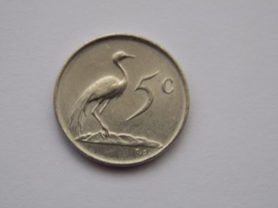 5 CENTS 1983 AFRICA DE SUD foto