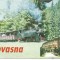 #carte postala-COVASNA-Valea Zanelor